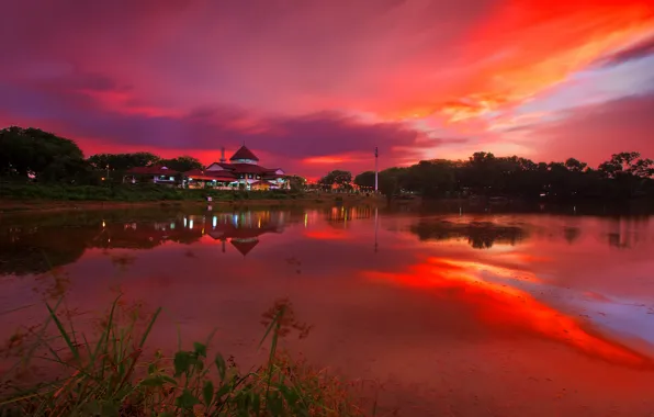 Picture the sky, clouds, trees, lake, home, the evening, glow