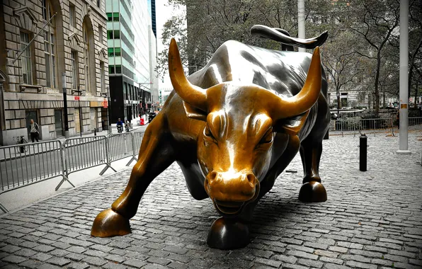 Picture New York, Manhattan, USA, "The charging bull", Arif Mahmood Photography, Wall Street, 3200 killogramovy bronze …