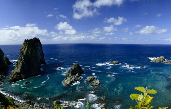 Picture sea, shore, Japan