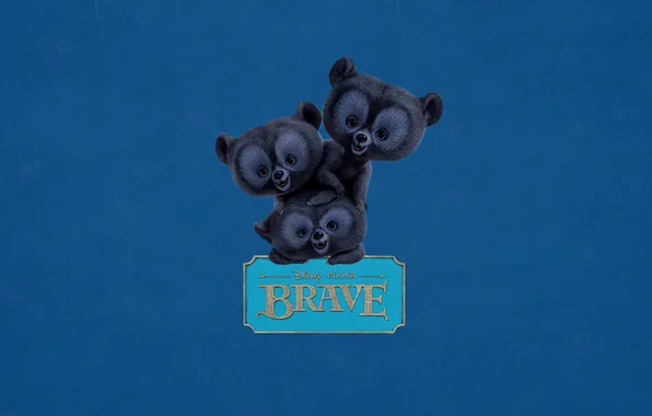 The inscription, plate, three, bears, three, blue background, Brave heart, Brave