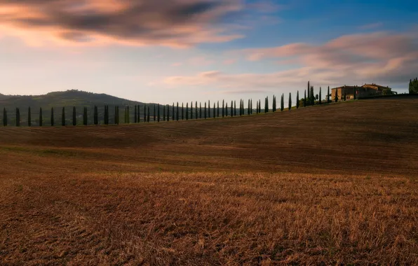 Field, autumn, the sky, clouds, trees, nature, house, hills