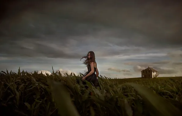 Picture field, girl, night