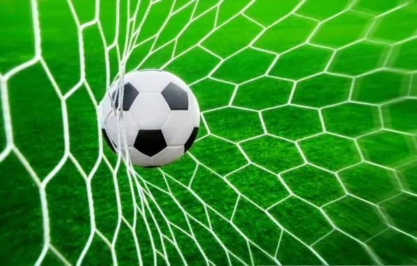Grass, mesh, lawn, football, the ball, goal