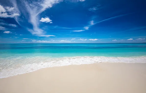 Picture stay, surf, the ocean, tropical island, shore, resort, beach, blue