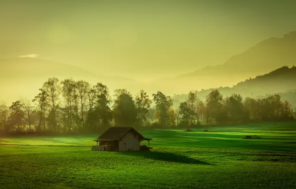 Picture field, fog, house