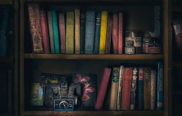 Books, camera, shelves