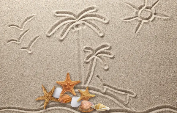 Picture sand, figure, texture, sand, drawing, starfish, seashells