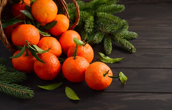 Picture decoration, New Year, Christmas, Christmas, wood, fruit, New Year, tangerines