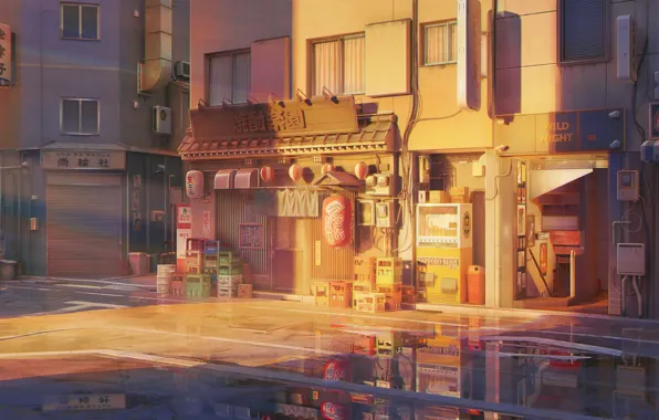 Street, the evening, puddles, by ArseniXC