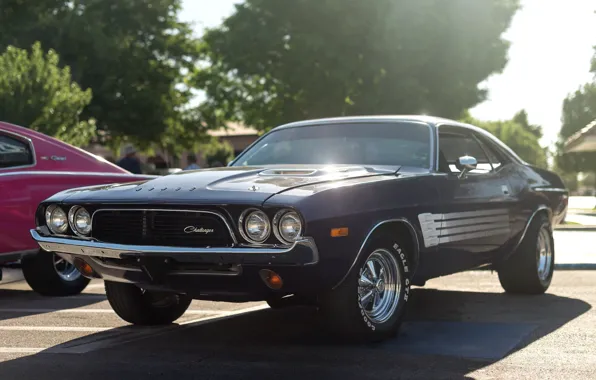 Picture Dodge, Challenger, muscle car, 1973