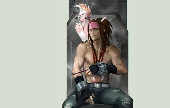 Bird, art, parrot, guy, Dramatical Murder, dramatic murder, link
