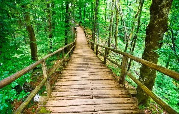 Trees, bridge, Park, beauty, spring, high, Spring park