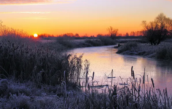 Picture frost, sunset, river