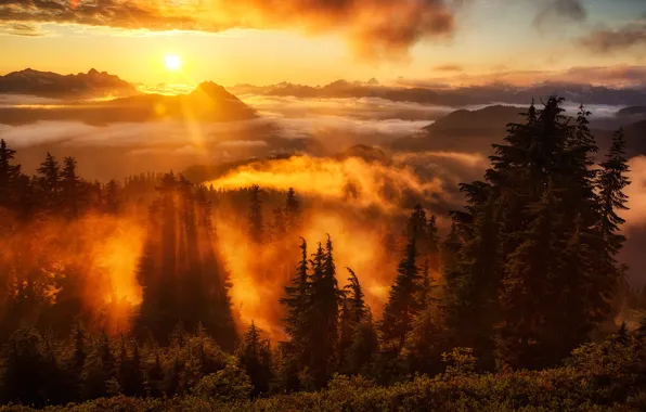 Wallpaper sunset, forest, Evergreen Mountain, sun, Washington, sky, Lookout