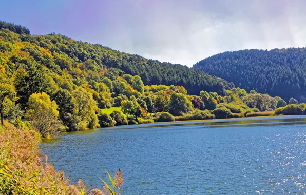 Picture autumn, forest, the sky, the sun, trees, mountains, nature, river