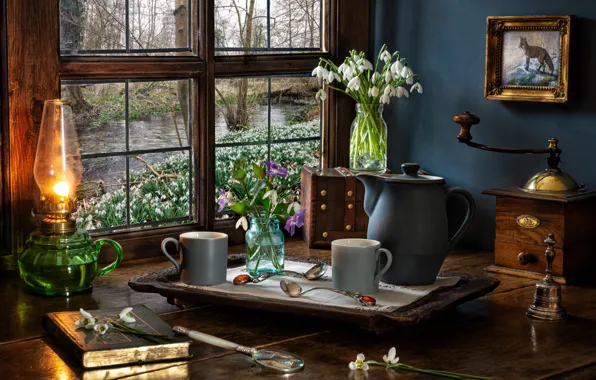 Picture snowdrops, mug, book, coffee grinder