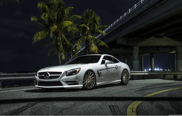 Car, palm trees, Mercedes, white, SL550