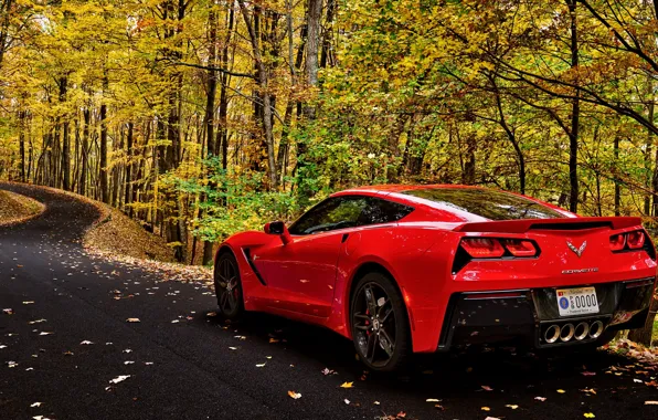 Road, car, autumn, forest, leaves, trees, corvette, forest