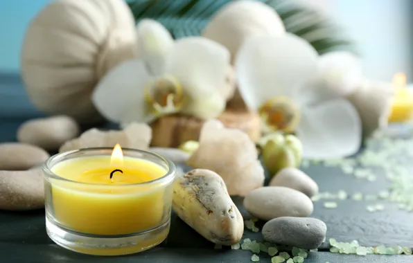 Flowers, stones, candles, relax, flowers, Spa, still life, candles