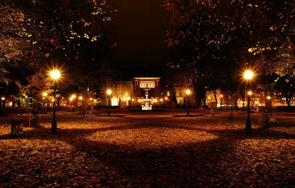 Night, Autumn, Lights, Park, Sweden, Fall, Foliage, Sweden