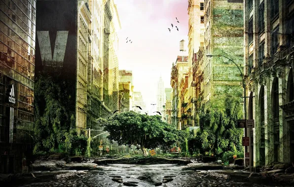 Picture nature, the city, tree, building, devastation
