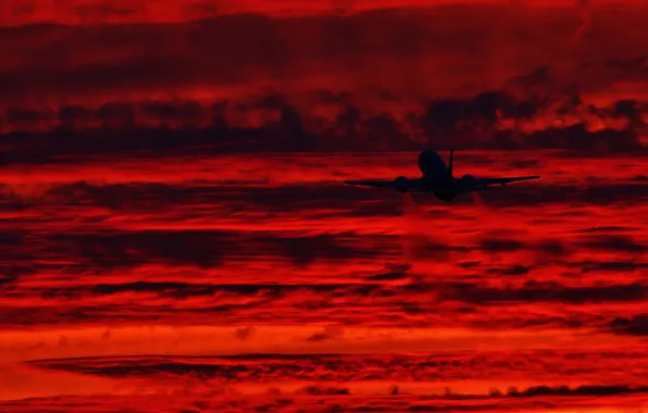 The sky, clouds, sunset, silhouette, the plane