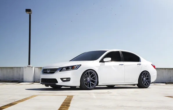 White, Honda, Accord, Honda, chord, Acura, TSX