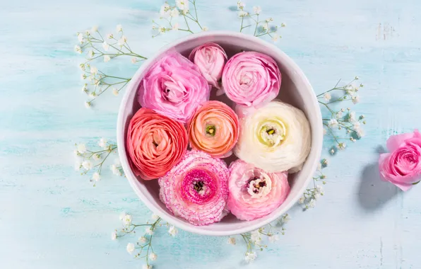 Flowers, box, pink, Asian, Buttercup