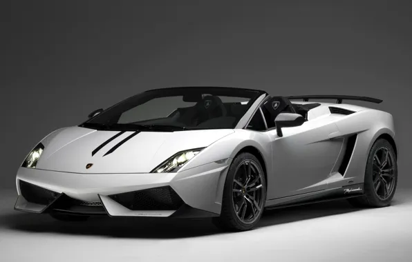 Machine, white, background, Lamborghini, supercar, Gallardo, Spyder, the front