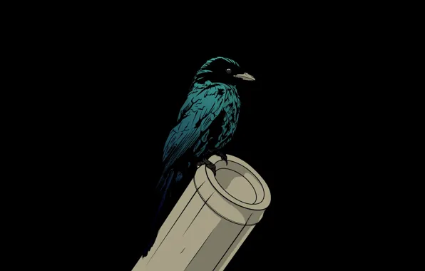 Darkness, bamboo, black background, Raven, evil eye