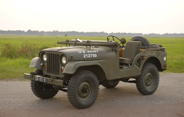Picture grass, SUV, car, army, 1955, Jeep, high, patency
