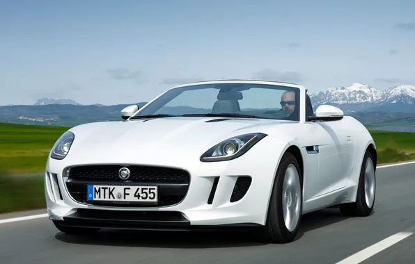 Road, white, Jaguar, the hood, Jaguar, the front, 2013, F-Type