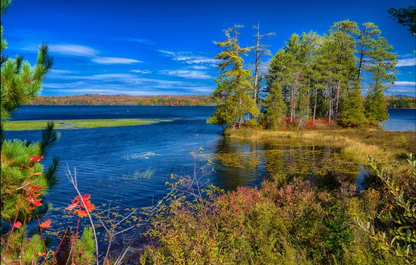 Autumn, trees, lake, USA, the state of new York