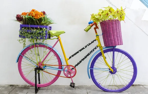 Picture flowers, bike, retro, bouquet, flowers, floral