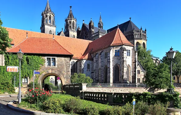 The sky, castle, Germany, lights, the bushes, Magdeburg