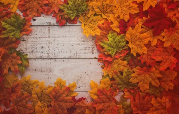 Picture autumn, leaves, background, tree, colorful, Board, wood, background