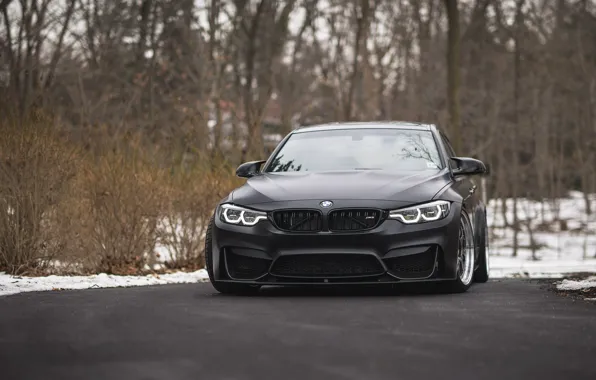 Picture BMW, Winter, Black, Snow, F80, Sight