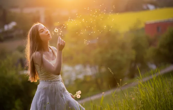 Girl, light, dandelion