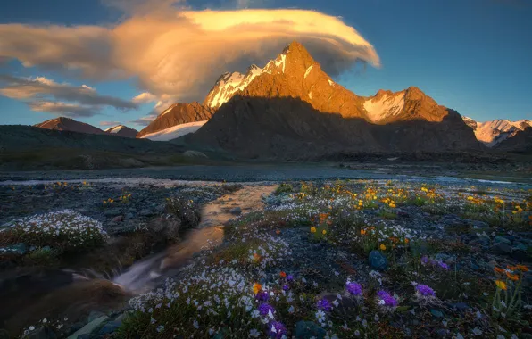 The sky, clouds, light, snow, flowers, mountains, blue, stream