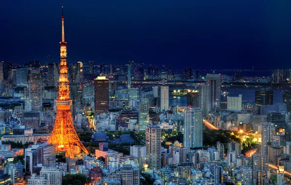 The sky, night, lights, building, tower, home, skyscrapers, Japan