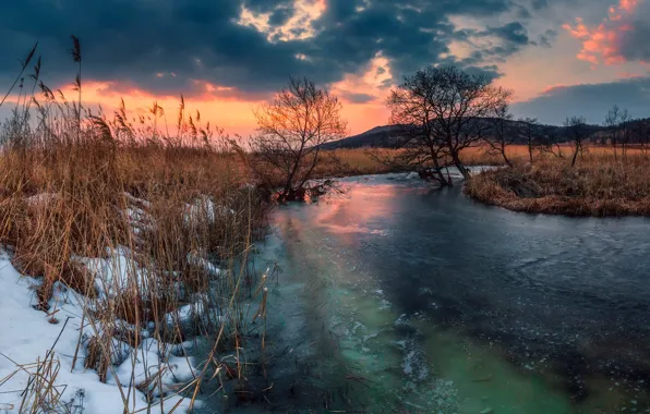 Picture ice, trees, sunset, river, Russia, Primorsky Krai