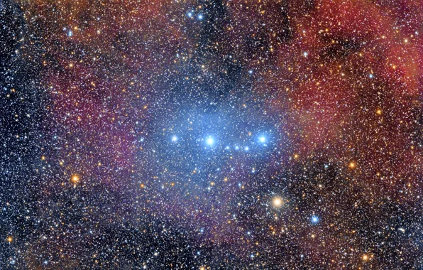 Picture nebula, Monkfish, SH2-264