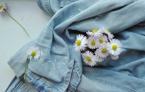 Flowers, table, chamomile, petals, white, placer, light background, blue