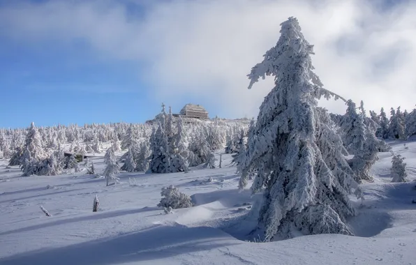 Winter, forest, the sky, clouds, snow, house, blue, ate