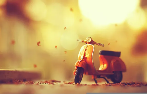 Leaves, moped, autumn, leaves, autumn, moped