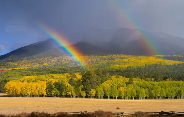 Picture autumn, forest, the sky, clouds, mountains, rainbow