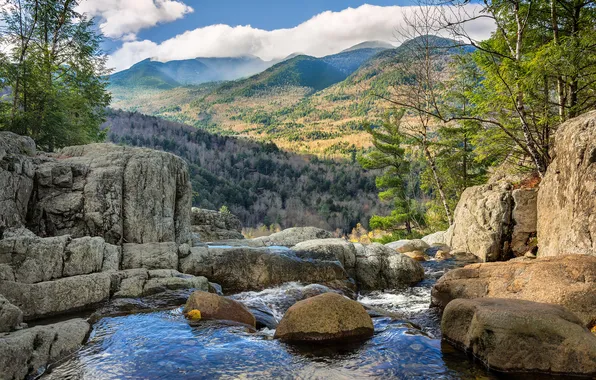 Trees, landscape, mountains, river, stones, rocks