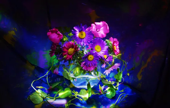 Picture background, bouquet, petals