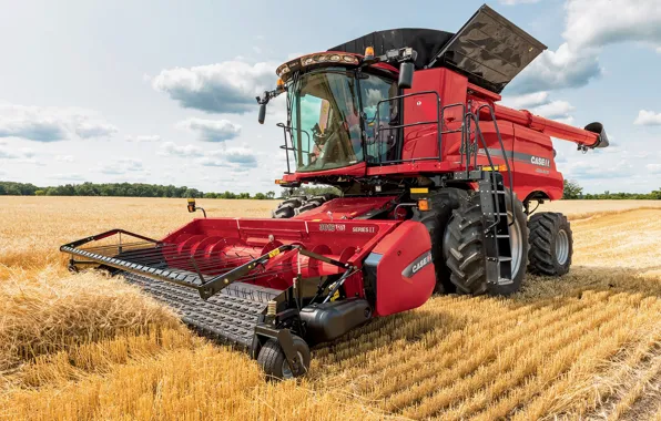 Picture field, technique, hay, tractor, 8240, Case IH, Axial-Flow