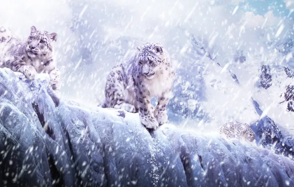 Picture ice, animals, snow, cats, mountains, leopard, IRBIS, bars